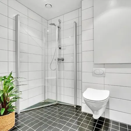 Apartment Stor Toppleilighet 2 Bad 3 Sov